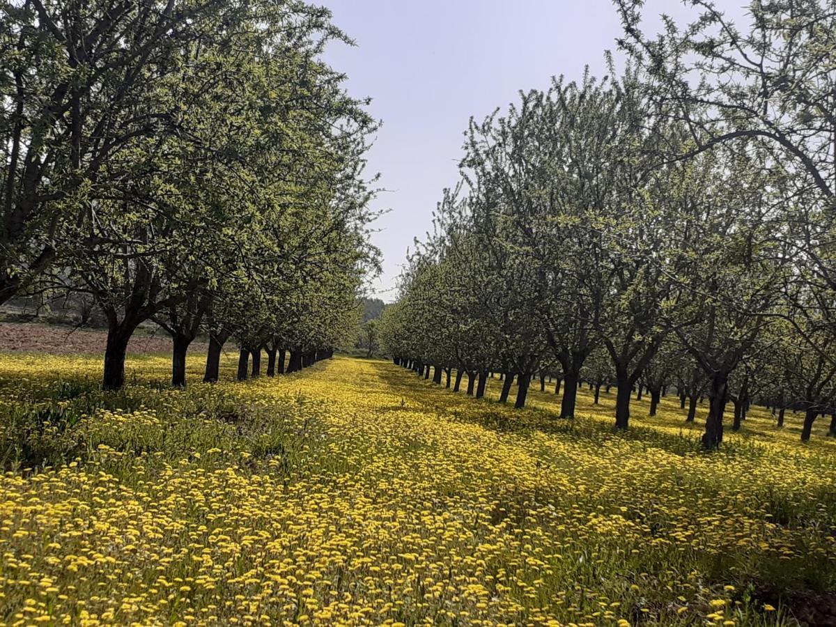 Aude En Provence Bed and Breakfast Meyrargues Εξωτερικό φωτογραφία